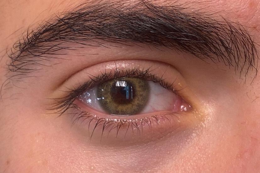 Brown Hazel